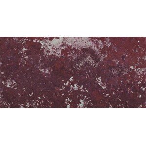 Dlažba Cir Molo Audace rosso d´amante 20x40 cm mat 1067978