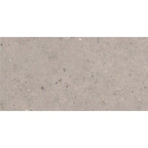 Dlažba Pastorelli Biophilic grey 60x120 cm mat P009415