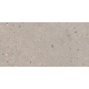 Dlažba Pastorelli Biophilic grey 30x60 cm mat P009500