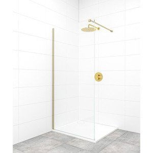 Sprchová zástěna walk-in / dveře 120 cm SAT Walk-In SATBWI120PRMO