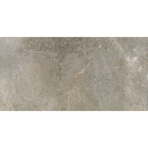 Dlažba Porcelaingres Royal Stone palladium grey 30x60 cm mat X630382X8