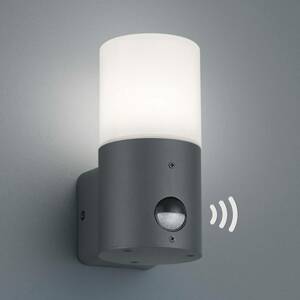 Trio Lighting Venkovní svítidlo Hoosic 1zdr. senzor, antracit