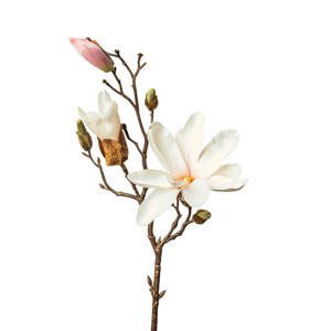 MAGNOLIE 48 cm