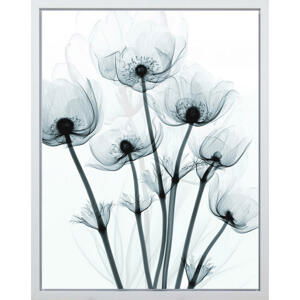Monee UMĚLECKÝ TISK, květiny, 40/50 cm