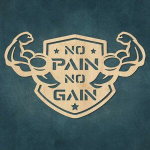 Motivační obraz - No Pain No Gain