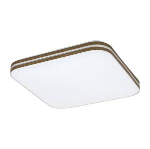 Rabalux Rabalux 71178 - LED Stropní svítidlo OSCAR LED/18W/230V 3000K 33x33 cm