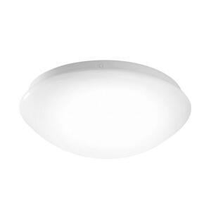 Leuchten Direkt Leuchten Direkt 14243-16 - LED Stropní svítidlo ANDREA LED/8W/230V