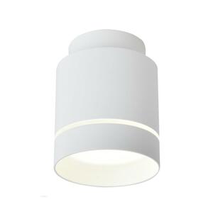 LED Stropní svítidlo TUBA LED/12W/230V