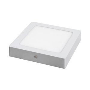 Rabalux Rabalux 2663 - LED Stropní svítidlo LOIS LED/12W/230V