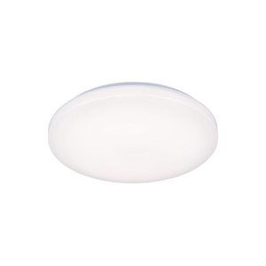 LED Stropní svítidlo OPAL LED/18W/230V