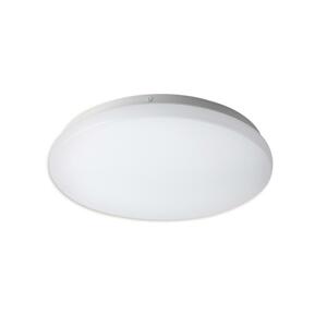 TOP LIGHT Top Light DUNAJ K 20 - LED Stropní svítidlo DUNAJ LED/12W/230V