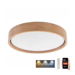 BRILAGI Brilagi - LED Stropní svítidlo MANAROLA SMART LED/24W/230V + DO Tuya