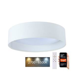 LED Stmívatelné svítidlo SMART GALAXY LED/24W/230V pr. 45 cm Wi-Fi Tuya + DO