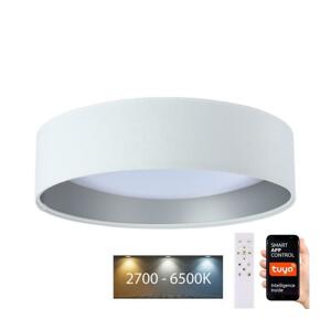 LED Stmívatelné svítidlo SMART GALAXY LED/24W/230V pr. 45 cm Wi-Fi Tuya + DO