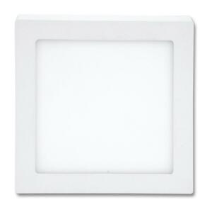 LED Stropní svítidlo RAFA LED/25W/230V 2700K