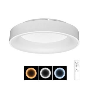 BRILAGI Brilagi - LED Stmívatelné stropní svítidlo FALCON LED/80W/230V 3000-6500K + DO