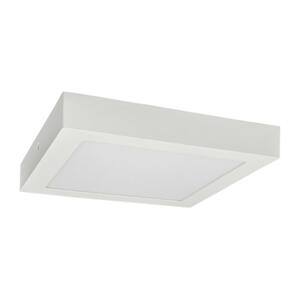 Greenlux LED Stropní svítidlo FENIX LED/24W/230V 3800K 29,8 cm