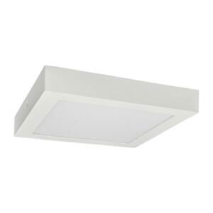 Greenlux LED Stropní svítidlo FENIX LED/12W/230V 3800K 17 cm