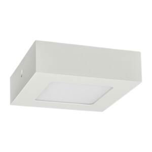 Greenlux LED Stropní svítidlo FENIX LED/6W/230V 3800K 12 cm