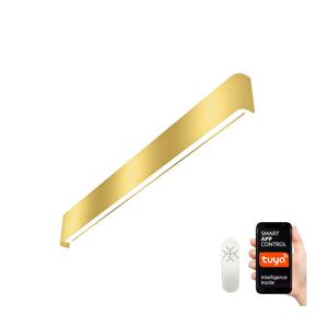 Neo  NEO 07137-G - LED SMART Nástěnné svítidlo LINEA LED/40W/230V + DO 76 cm