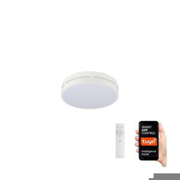 Neo  NEO 07153-W30 - LED Stmívatelné svítidlo PERFECTO 24W/230V Wi-Fi Tuya + DO
