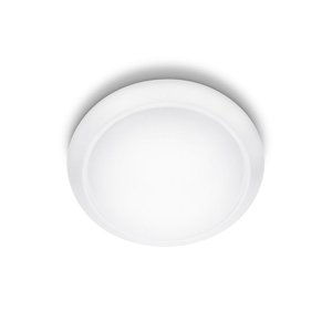 Philips Philips 33365/31/17 - LED stropní svítidlo 1xLED/22W/230V