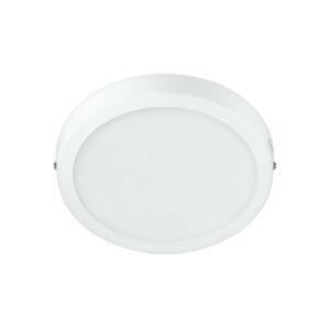 Philips Philips - LED Stropní svítidlo MAGNEOS LED/12W/230V 4000K bílá