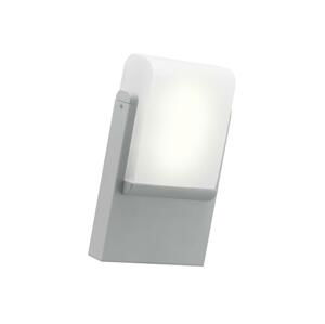 Eglo EGLO 89576 - Venkovní nástěnné svítidlo CARACAS 1xE27/22W/230V stříbrná IP44