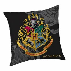 Jerry Fabrics Polštářek Harry Potter 138, 40 x 40 cm