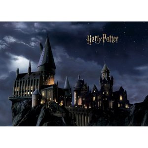 Dětská fototapeta Harry Potter 252 x 182 cm, 4 díly