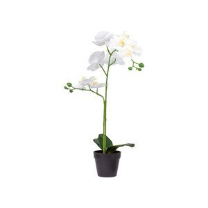 LIVARNO home Dekorační umělá květina (orchidej v květináči)