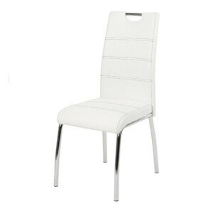 Jídelní židle NOEMI bílá/kov