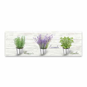 Obraz Styler Canvas Shabby Herbs, 27 x 75 cm