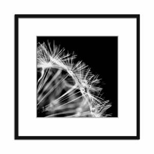 Obraz Styler Artbox Dandelion, 50 x 50 cm