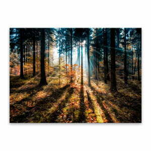 Obraz Styler Glasspik Autumn Sunset, 70 x 100 cm