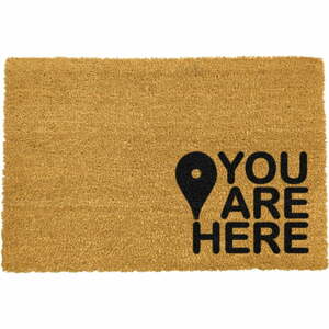 Šedá rohožka z přírodního kokosového vlákna Artsy Doormats You Are, 40 x 60 cm