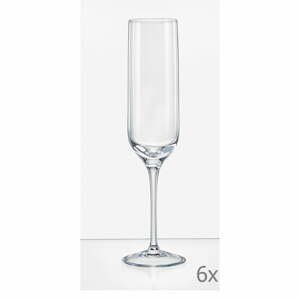 Sada 6 sklenic na šampaňské Crystalex Uma, 200 ml