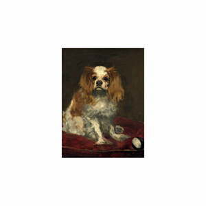 Reprodukce obrazu Édouard Manet - A King Charles Spaniel, 40 x 30 cm