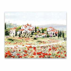 Obraz na plátně Styler Red Meadow, 60 x 80 cm