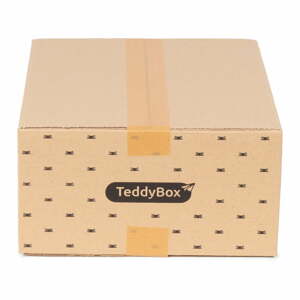 Sada 3 béžových úložných boxů Compactor Teddy, 35 x 15 cm