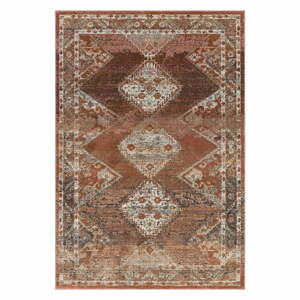 Červeno-hnědý koberec 230x155 cm Zola - Asiatic Carpets