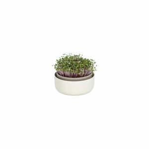 Klíčící miska, ø 16 cm Microgreens - Plastia