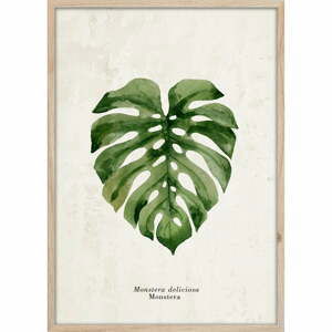 Plakát v rámu 50x70 cm Monstera – Styler