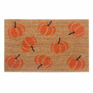 Rohožka 45x75 cm Mix Mats – Hanse Home