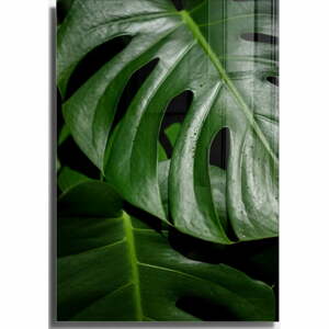 Skleněný obraz 50x70 cm Monstera – Wallity