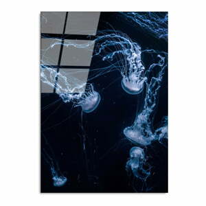 Skleněný obraz 70x100 cm Jelly Fish – Wallity