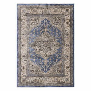 Modrý koberec 120x166 cm Sovereign – Asiatic Carpets