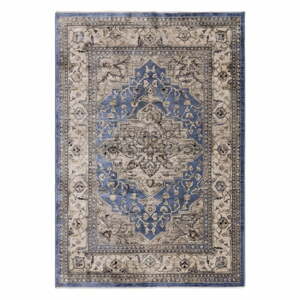 Modrý koberec 160x240 cm Sovereign – Asiatic Carpets