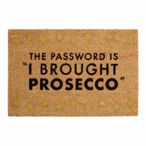 Rohožka z kokosového vlákna 40x60 cm Prosecco – Premier Housewares