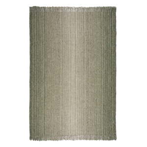 Zelený koberec 120x170 cm – Flair Rugs